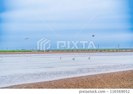 [Hokkaido] Take a sightseeing boat to Betsukai Town and explore Todowara 116569052