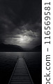 Bridge over the lake 116569581