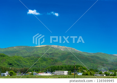 初夏的霧峰景色 116569945