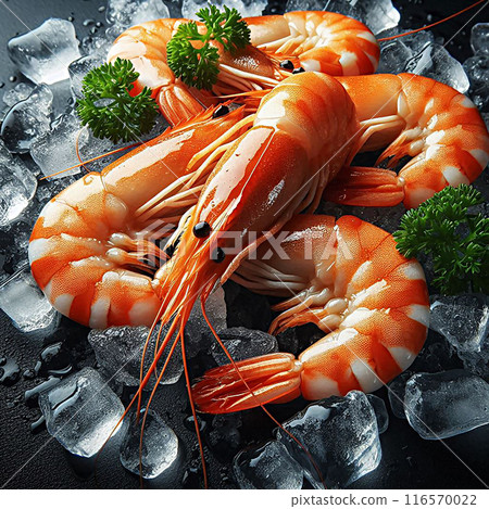 Fresh Shrimp on Ice with Herbs - Seafood Delicacy. Close-up of fresh shrimp on ice garnished with parsley, capturing the essence of gourmet seafood. 116570022