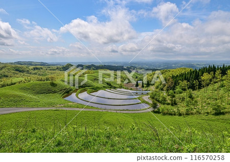 [Kyushu] Feel the breeze on top of a hill and enjoy the magnificent, wide view of Kumamoto Aso and the fan-shaped rice terraces 116570258
