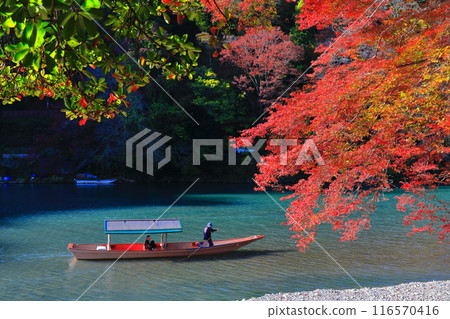 【京都府】晴空秋葉的嵐山（桂川嵐峽、保津峽） 116570416