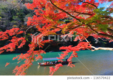 【京都府】晴空秋葉的嵐山（桂川嵐峽、保津峽） 116570422
