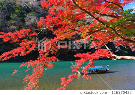 【京都府】晴空秋葉的嵐山（桂川嵐峽、保津峽） 116570423