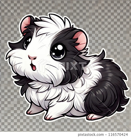 黑色和白色豚鼠 116570424