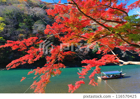 【京都府】晴空秋葉的嵐山（桂川嵐峽、保津峽） 116570425