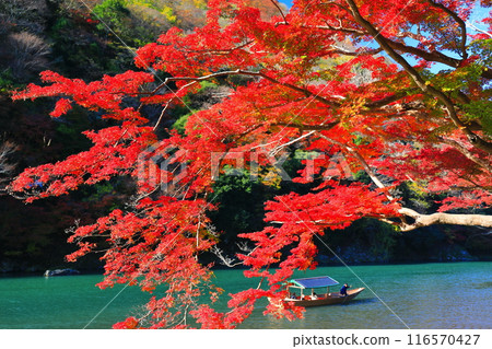 【京都府】晴空秋葉的嵐山（桂川嵐峽、保津峽） 116570427
