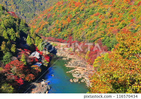 [Kyoto Prefecture] Hozugawa River cruise with clear skies and autumn leaves (Arashiyama, Katsuragawa, Rankyo) 116570434