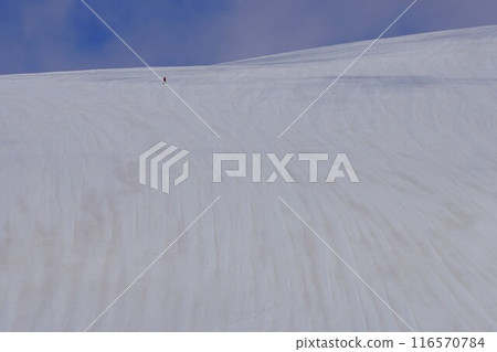 冬季，登山者在月山雪原上行走 116570784