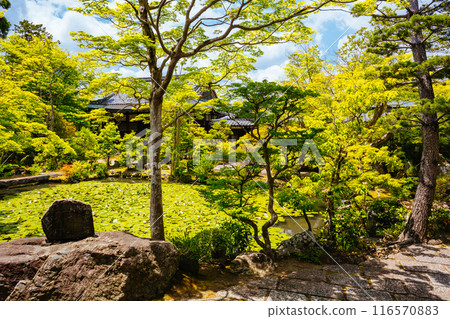 Eikando Temple (Eikan-do) in Kyoto Japan 116570883