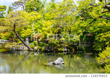 Eikando Temple (Eikan-do) in Kyoto Japan Eikando Temple (Eikan-do) in Kyoto Japan 116570933