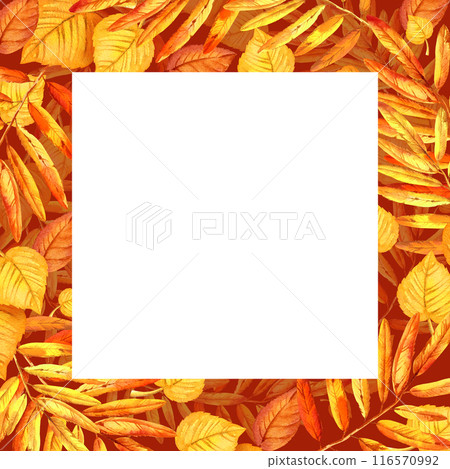 watercolor white frame with autumn leaves, hand drawn illustration of yellow and orange maple leaves, mountain ash leaves, sketch on brown background watercolor white frame with autumn leaves, hand drawn illustration of yellow and orange maple leaves, mountain ash leaves, sketch on brown background 116570992