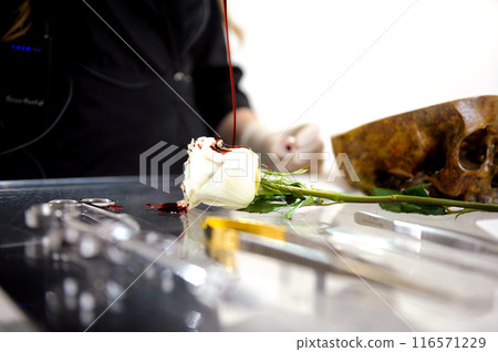 Operation on the layout . Young woman learning to operate on a flower on a rose using a scalpel and an injection 116571229
