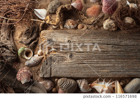 Beach themed background with driftwoods, shells, stones, and sand. Beach themed background with driftwoods, shells, stones, and sand. 116571698