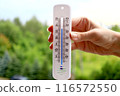 A womans hand with a plastic mercury thermometer shows high air temperature in Celsius outdoors in the shade. more than 36 degrees. 116572550