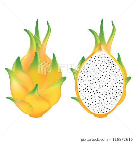 Yellow dragon fruit isolated on white background. Realistic dragon fruit. 116572616
