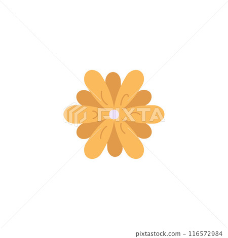 Vector illustration of an orange flower for use in medicine and organic design Vector illustration of an orange flower for use in medicine and organic design 116572984