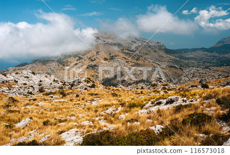 Scenic drive with dramatic landscapes in mountains Scenic drive with dramatic landscapes in mountains 116573018