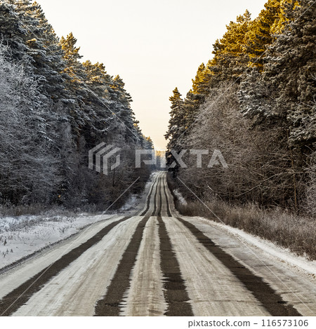 The road through the winter forest The road through the winter forest 116573106