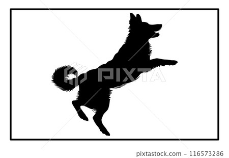 Jumping Dog Silhouette - Canine Action Illustration and Clipart 116573286