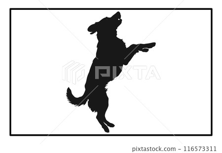 Jumping Dog Silhouette - Canine Action Illustration and Clipart Jumping Dog Silhouette - Canine Action Illustration and Clipart 116573311