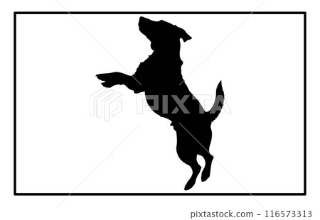 Jumping Dog Silhouette - Canine Action Illustration and Clipart Jumping Dog Silhouette - Canine Action Illustration and Clipart 116573313