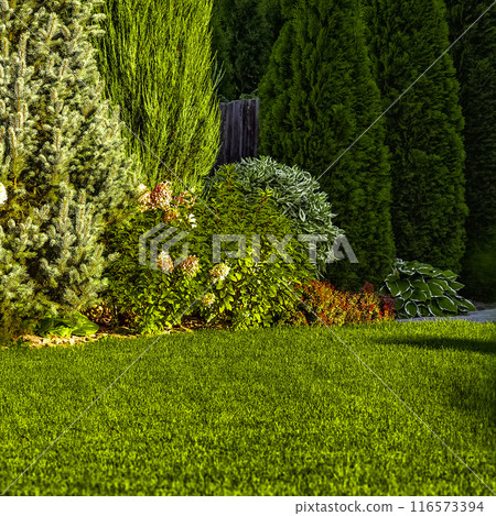 Freshly cut grass 116573394