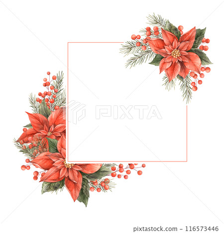 Poinsettia, Christmas red flower, fir branches and red berries. Watercolor botanical square elegant frame on isolated background. Drawing for Christmas and New Year holidays, invitations, cards Poinsettia, Christmas red flower, fir branches and red berries. Watercolor botanical square elegant frame on isolated background. Drawing for Christmas and New Year holidays, invitations, cards 116573446