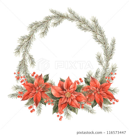 Poinsettia, Christmas red flower, fir branches, red berries and tree green branches. Watercolor botanical holiday round wreath. Wreath for Christmas, New Year holidays, invitations, cards, packaging 116573447