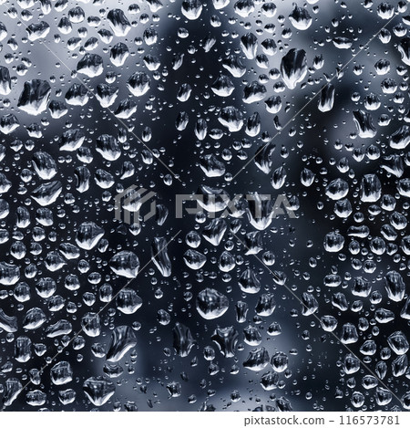 Raindrops on the window Raindrops on the window 116573781