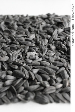 Laid out in an even layer sunflower seeds fried with salt on a white surface Laid out in an even layer sunflower seeds fried with salt on a white surface 116573876