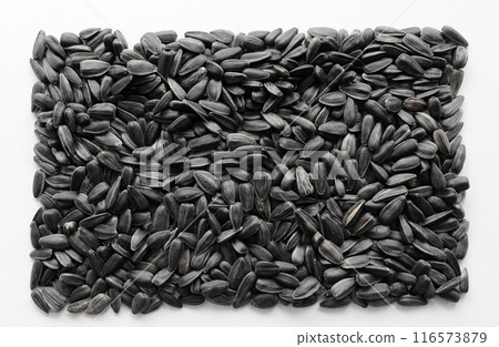 Perfect rectangle made of sunflower seeds on clean white background stock photo for seeds backgrounds Perfect rectangle made of sunflower seeds on clean white background stock photo for seeds backgrounds 116573879