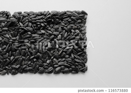 Rectangle laid out from sunflower seeds on a white surface on the side of the image Rectangle laid out from sunflower seeds on a white surface on the side of the image 116573880