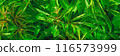 Green peony bushes texture banner. 116573999