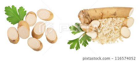 Horseradish root slices and parsley isolated on white background, Top view. Flat lay. Horseradish root slices and parsley isolated on white background, Top view. Flat lay. 116574052
