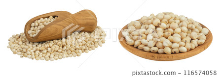 Sorghum seeds in wooden scoop and spoon isolated on white background with full depth of field. Sorghum seeds in wooden scoop and spoon isolated on white background with full depth of field. 116574058