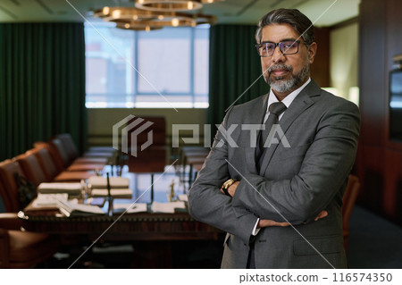 Mature male director of business company Mature male director of business company 116574350