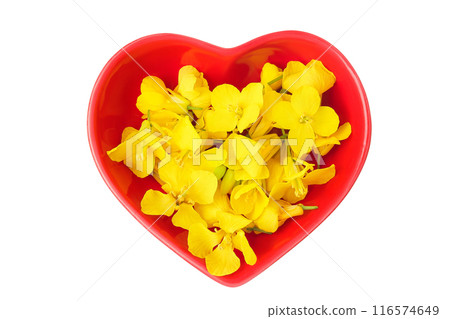 Rapeseed flowers in ceramic bowl isolated on white background, Top view. Flat lay 116574649
