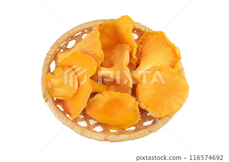Chanterelle mushrooms in a wicker basket isolated on a white background. Top view. Flat lay 116574692