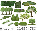 Cute tree and green illustrations 116574733
