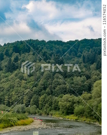 Green natural meadow with grass and beautiful sky Green natural meadow with grass and beautiful sky 116574852