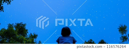 Child gazing up starry night sky wonder nature stars trees back view 116576264