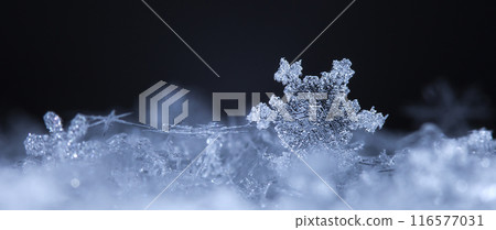 snowflake, little snowflake on the snow 116577031