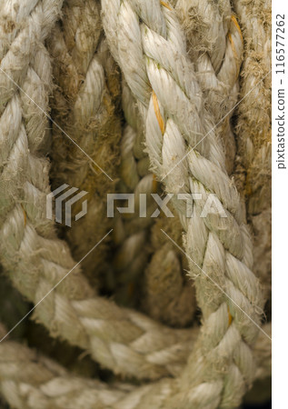 Rope rolled closup. High quality photo Rope rolled closup. High quality photo 116577262