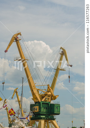 Working port cranes. Unloading and loading of goods at the port. High quality photo Working port cranes. Unloading and loading of goods at the port. High quality photo 116577263