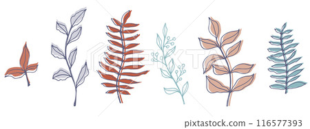 vector contour branch and leaves for harvest festival poster. Elegant silhouette and outline element in trendy pastel colors. hand drawn botanical illustration for wedding design, cards, logo, tattoo vector contour branch and leaves for harvest festival poster. Elegant silhouette and outline element in trendy pastel colors. hand drawn botanical illustration for wedding design, cards, logo, tattoo 116577393