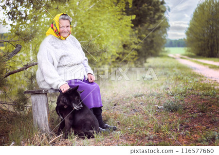 Elderly grayhaired in yellow headskarf woman with her lovely black dog in the park. Elderly grayhaired in yellow headskarf woman with her lovely black dog in the park. 116577660