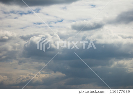 Rain clouds. Texture of the sky and clouds  116577689