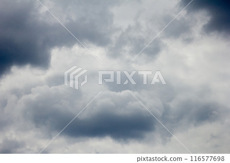 Rain clouds. Texture of the sky and clouds  116577698