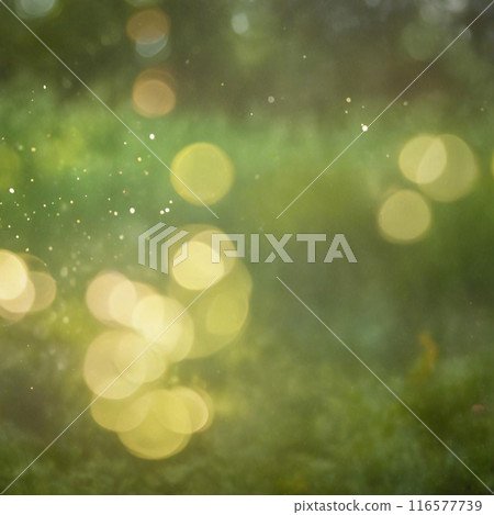 Summer bokeh texture 116577739